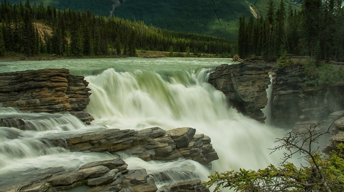 athabasca river, river, nature, water, Jasper National Park, Canada, athabasca falls