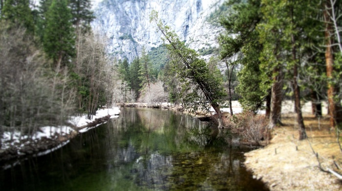 landscape, Yosemite National Park, california