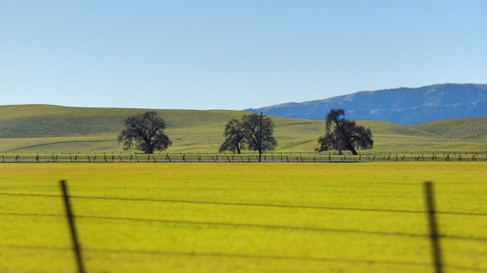 landscape, california