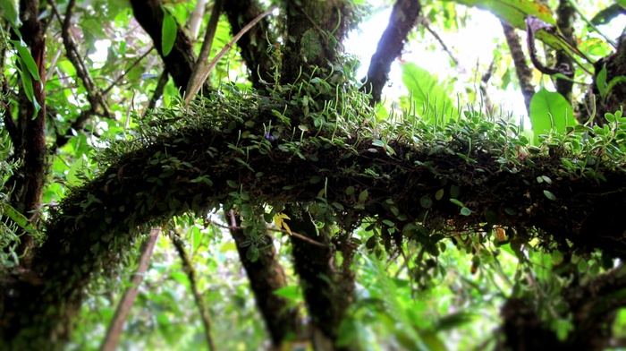 Costa Rica, landscape