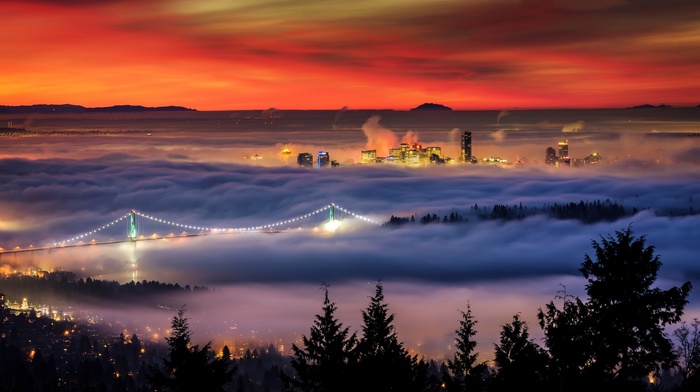 bridge, photography, trees, mist, city