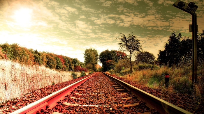 railway, trees, nature, plants, photography