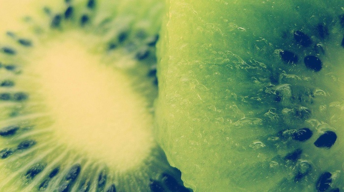 macro, food, kiwi fruit, photography