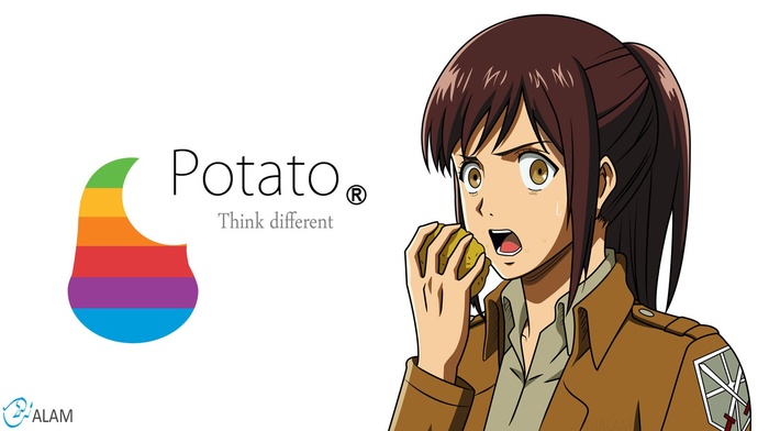 potatoes, anime girls, Shingeki no Kyojin, Blouse Sasha, anime