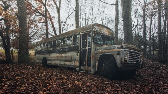abandoned, buses, vehicle, wreck
