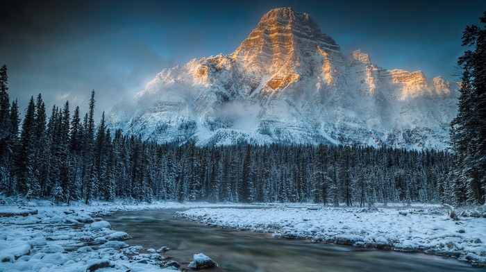 snow, Mount Chephren, river, ice, winter, stream, landscape, trees, mountains