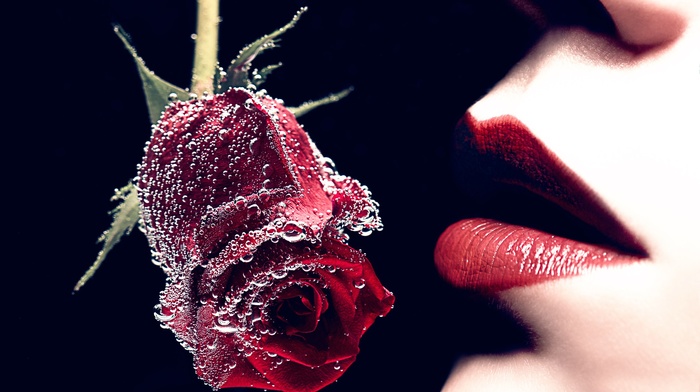 lips, girl, rose
