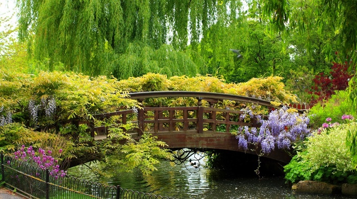 garden, bridge, trees