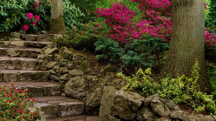 garden, stairs, flowers, plants