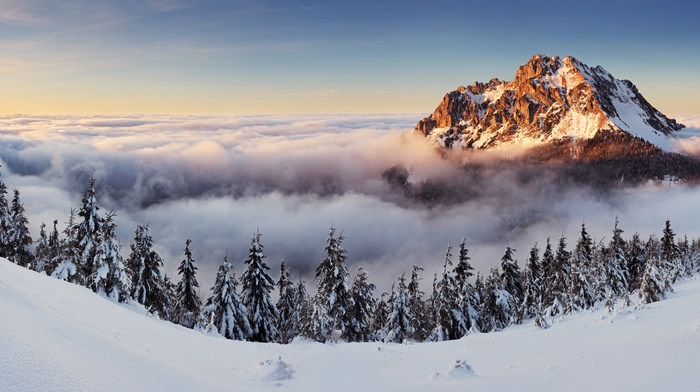 mountains, landscape, trees, winter