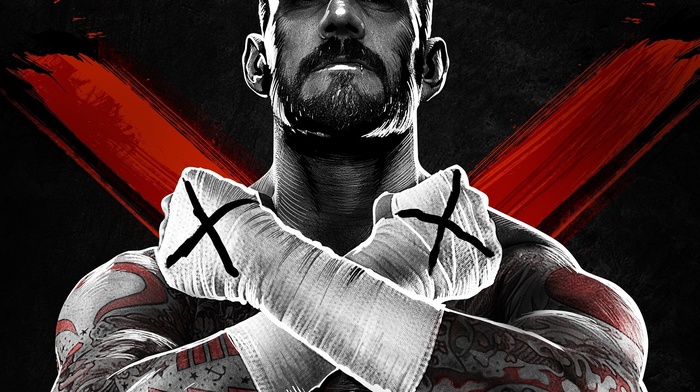 Wrestling, CM Punk