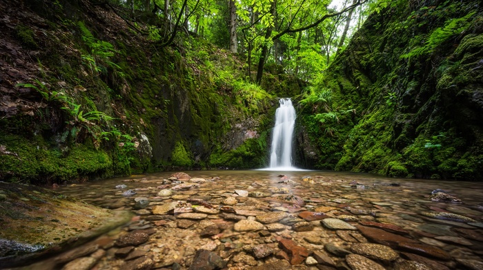 landscape, water