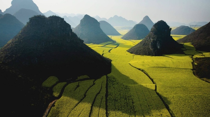 Vietnam, photography, nature, rice paddy, field, mountains, landscape