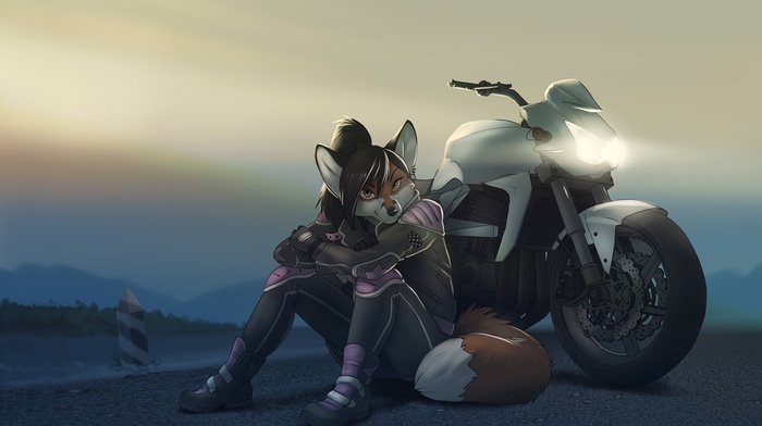 motorcycle, Anthro, furry, sitting