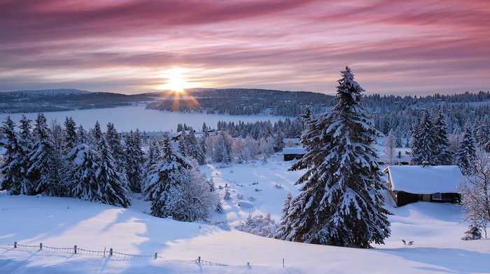 snow, nature, winter, landscape