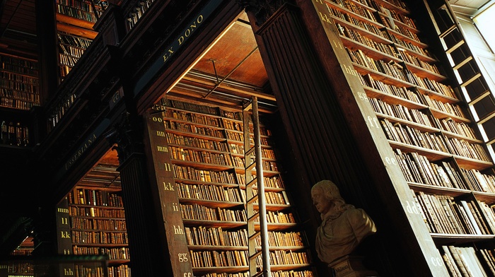 wood, letter, Dublin, library, shelves, bust, ladders, Trinity College Library, books, knowledge, wooden surface, interior