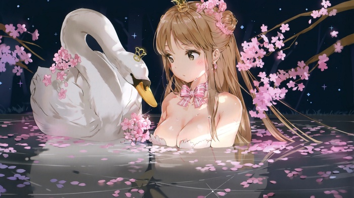 water, Anmi, Blossom, swan, cleavage