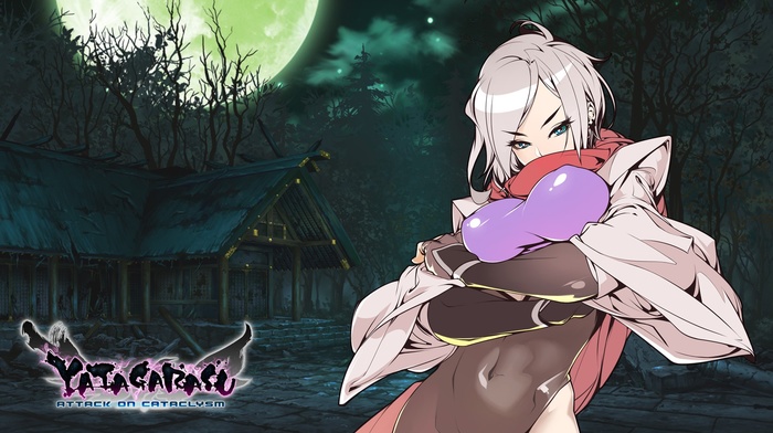 anime, Yatagarasu Attack on Cataclysm, Hattori Hanzo Uruka