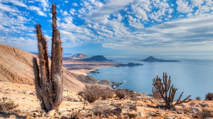 nature, sea, Atacama Desert, coast, landscape, cactus, national park, Chile, beach, clouds, hills