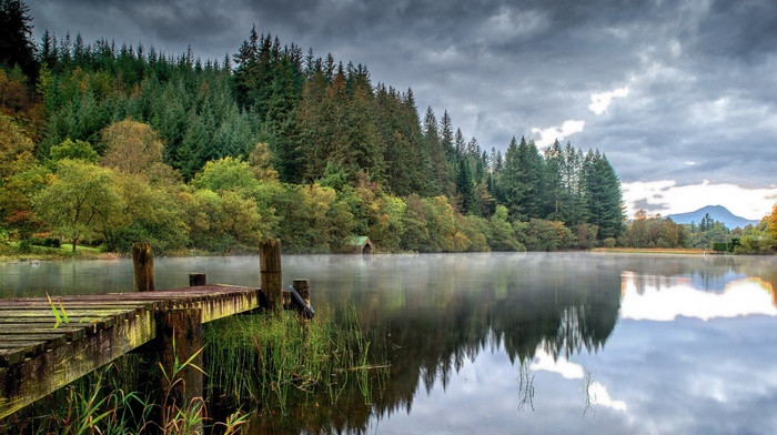 lake, landscape, trees