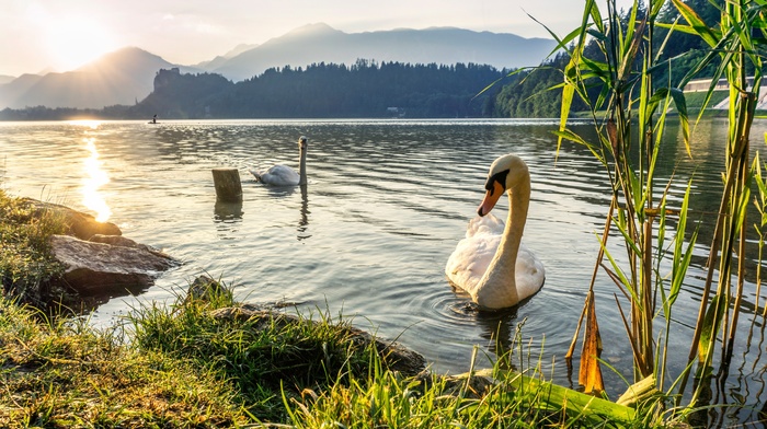 landscape, lake