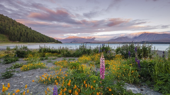 lake, landscape