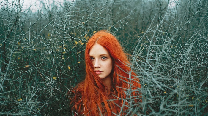girl, face, redhead