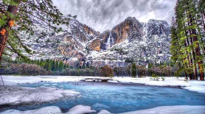 snow, trees, landscape