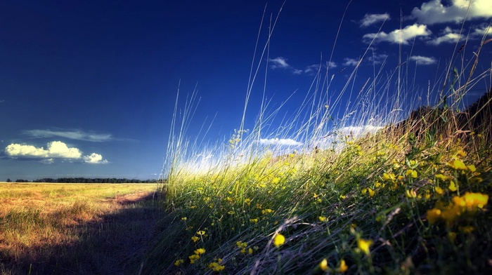 nature
