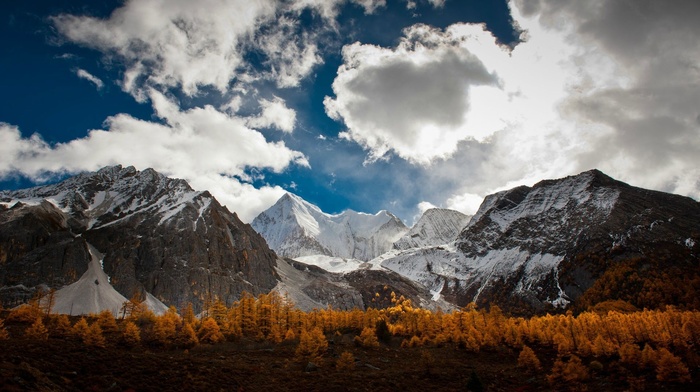 mountains, forest, landscape, nature