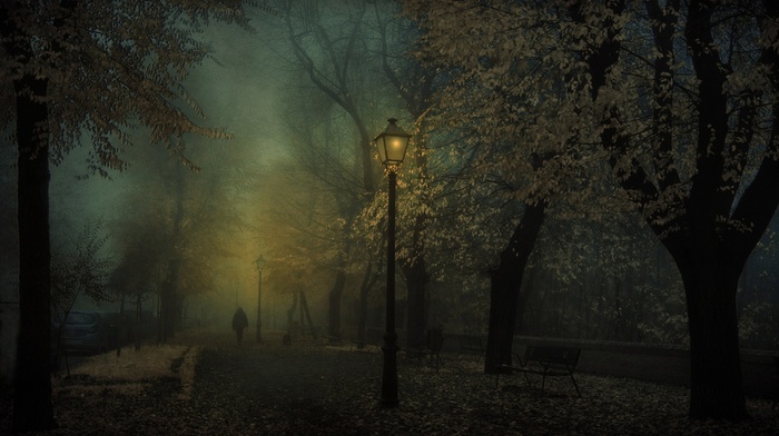 mist, atmosphere, car, dark, walking, landscape, bench, fall, trees, park, leaves, nature, lantern