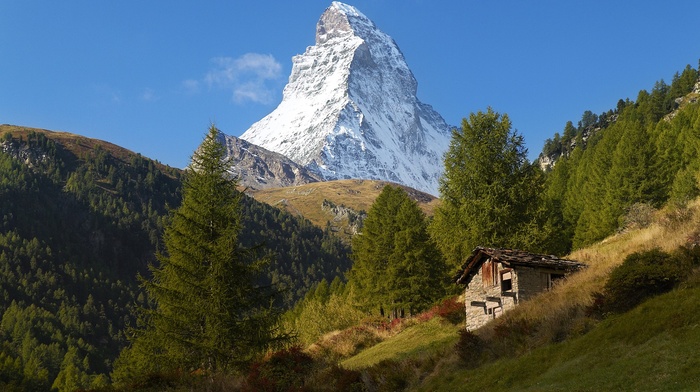 mountains, Matterhorn, trees, Alps, landscape, nature