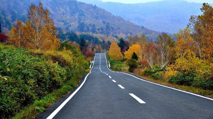 road, landscape