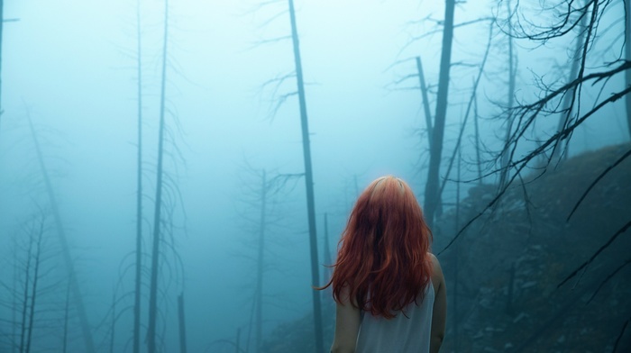 nature, mist, redhead, girl, forest, girl outdoors, trees