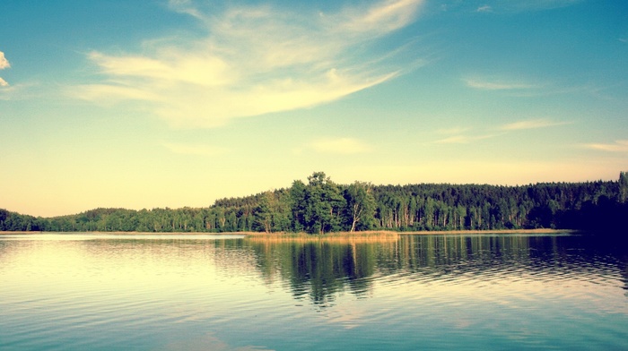 lake, photography, nature, landscape, reflection, forest, trees, water