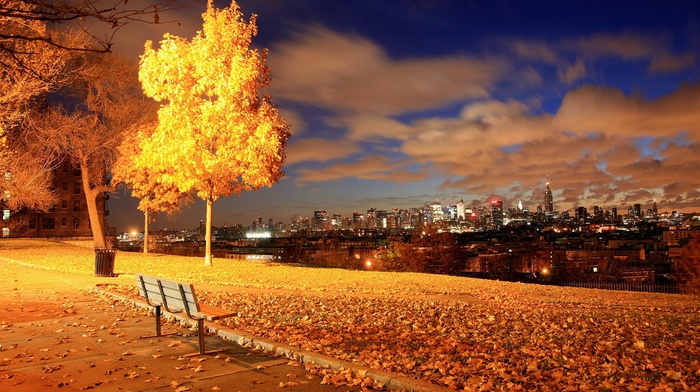 fall, lights, night, urban, bench, leaves, photography, cityscape, trees