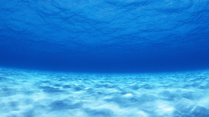 underwater, blue, sea, photography, nature, water