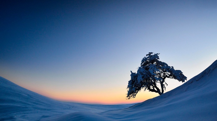 snow, landscape, winter, trees