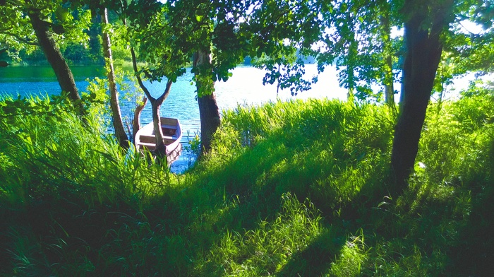 lake, nature, trees, grass, boat