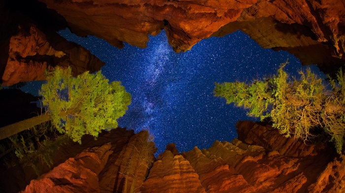 trees, nature, worms eye view, night, clouds, stars, mountains, Milky Way, rock, valley, Utah, sky, national park, USA