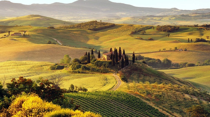 house, nature, Italy, Tuscany, green, landscape