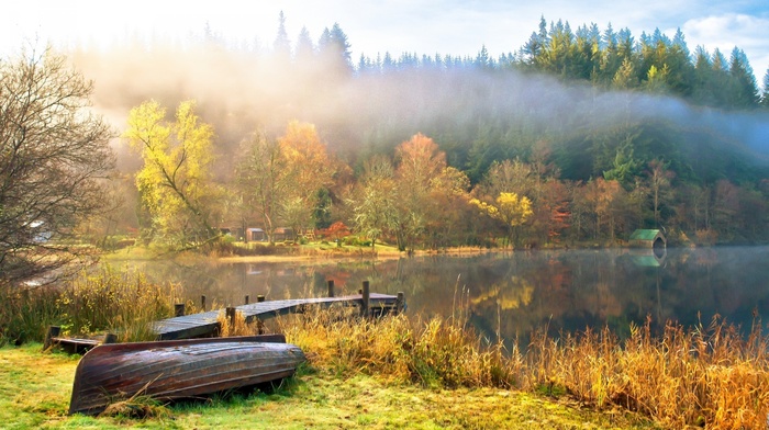 nature, landscape