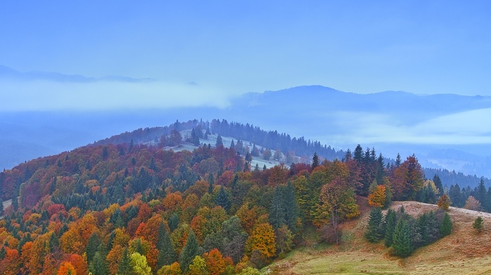 landscape, nature