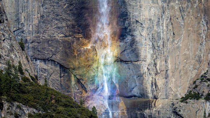 nature, Yosemite National Park