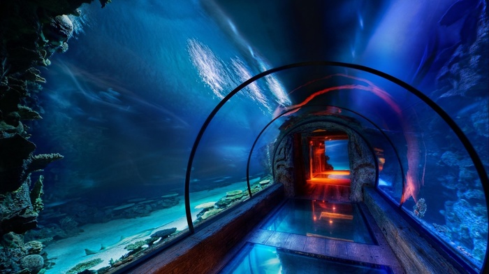 aquarium, underwater, sea, tunnel, HDR