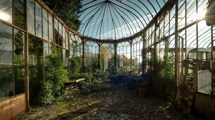 greenhouse, abandoned