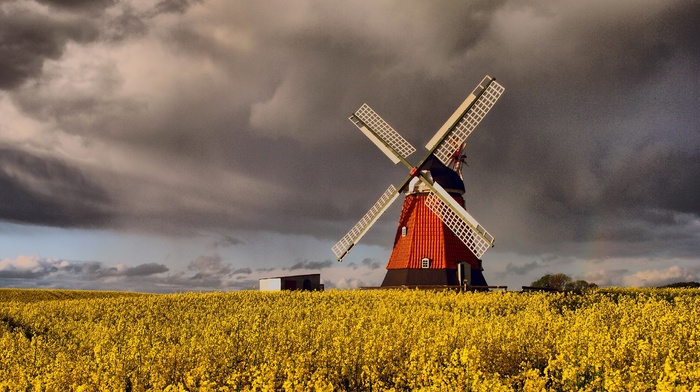 Denmark, windmill, clouds, grain