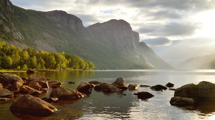 cliff, Norway, trees, fjord, morning