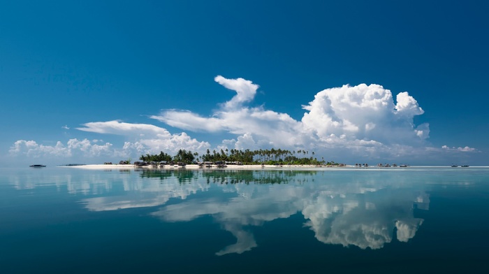 sea, water, clouds, island, reflection, palm trees