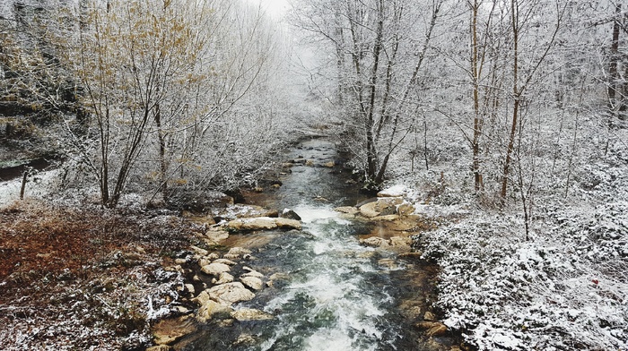 forest, trees, photography, landscape, river, snow, winter, nature